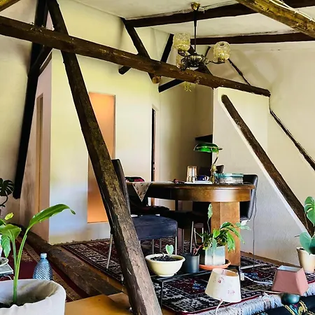 Homestay Bed & Wine Transylvania